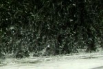 rain1.jpg